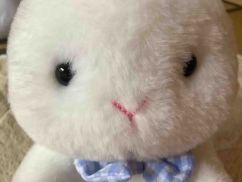 全然投稿してなくてすみません。お顔いっぱいの画面で許してください😭これからは、週の水曜日に毎日出すので、見に来てね！！