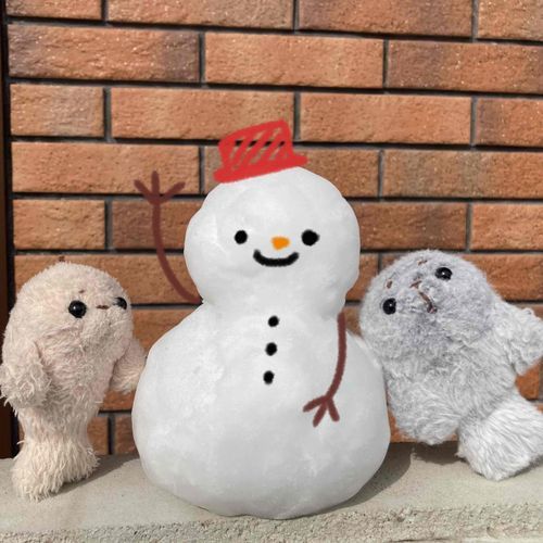 すごい量の雪が降ったよ〜！雪だるまくんとお友達になった☃︎　