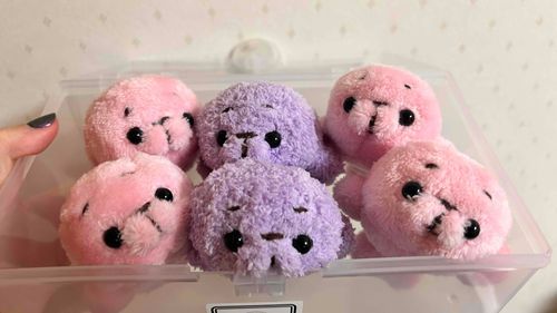 うまれたて！