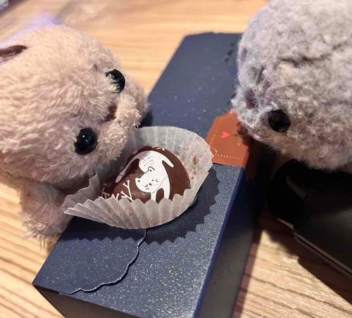 ぼくの！