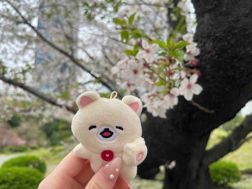 さくらさくえがお