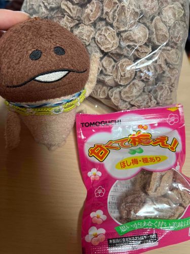 下僕が最近干し梅にハマってるよ！「甘くて梅え！」をダイソーで買ったけど、たくさん食べたくてAmazonでこーんなに干し梅買ったんだって！ぼくも一粒…うーん、甘くてうめえ！！