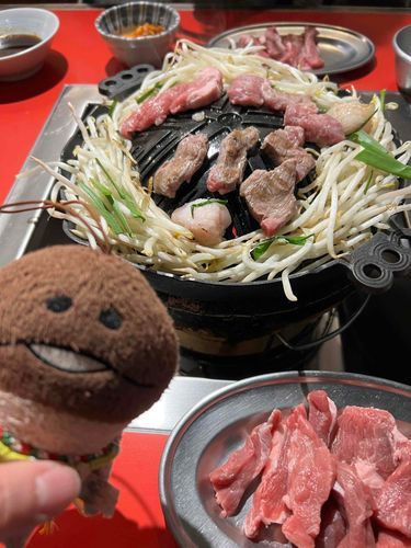 今日は下僕と下僕のお友達とジンギスカン食べに行ったよ！生ラム、柔らかくってとっても美味しかった！生ラムのタタキもあったよ！絶品✨