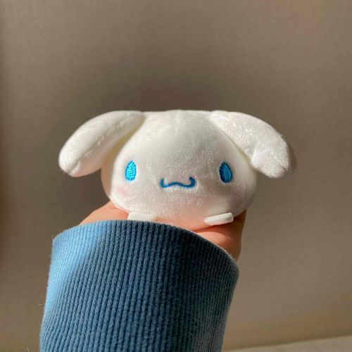 きょうは、かいぬしが、りぼんをつけてくれたも。
うれしかったから、あいこんにしたも。