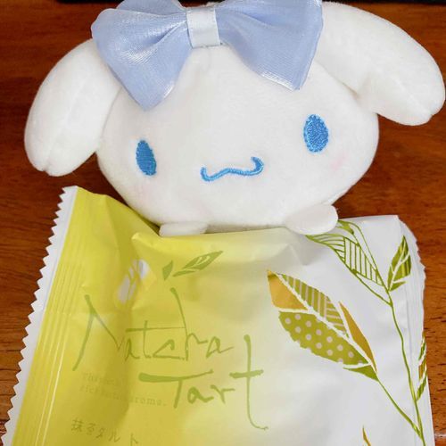 きょうのおやつは、まっちゃタルトだも。
まだ、おやつのじかんじゃないのに、2こもたべたも。
あとで3コめたべるも！