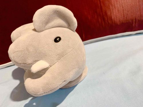 まだ起きたくない。
そんな面持ちのぞうの子です。
おはようございます。