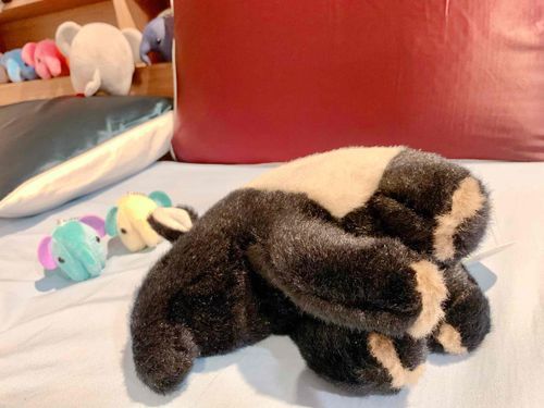 ぞうの子はまだ諦めません。
次のターゲットは、うとうとしているばくさんのようです。