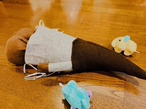 あー！！
ただのぶ！
ひろこ！