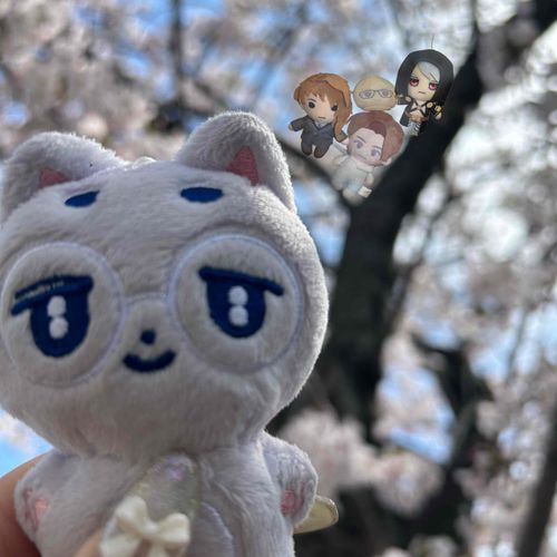 さくらやっとみれたね。