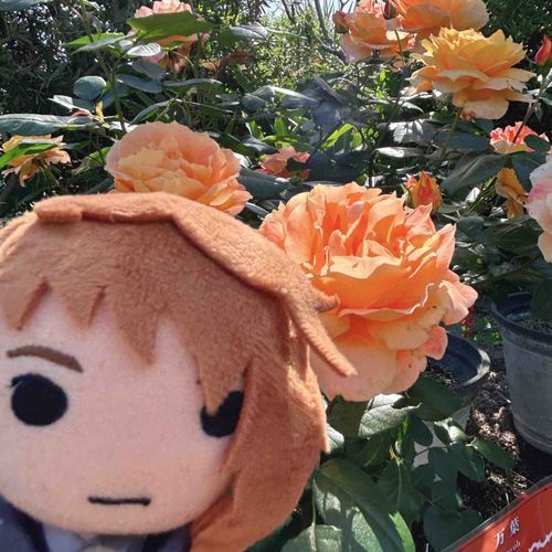 うまれてきてくれてありがとうね。