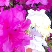 ぬいむてちゃん