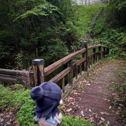 どこに続く橋なんだろうか。
