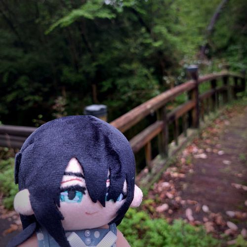 則宗はもっと明るいところで楽しげな写真を撮っていたはずなんだが…？このままホラー映画の世界に入るのかと思ったよ。