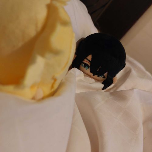 俺と則宗と二人で寝ても余裕のある大きなふかふかベッドだった。この身体で初めての金沢旅行だったよ。