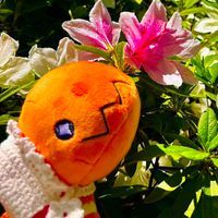 フライゴンを夢見るごんちゃん💭