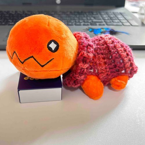 トレーナーにはじめてお洋服を作ってもらったの！🧶
何回もほどいてあみあみしてたけどかわいいお洋服嬉しい☺️

次は夏のお洋服も作ってもらうんだ〜！