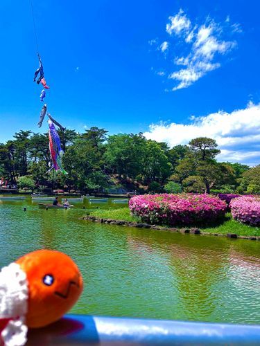 空を魚が泳いでるの！！👀
気持ちよさそうなの〜🪽🪽