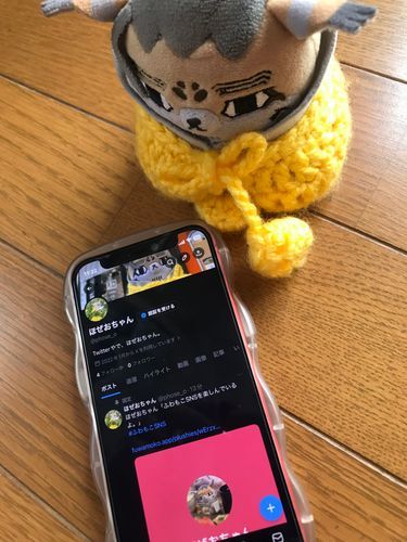Twitterやで、ほぜおちゃん📱