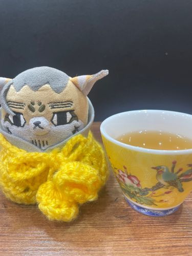 💛💛
