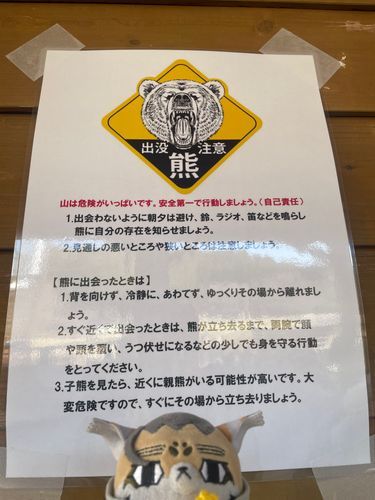 🐻⚠️
