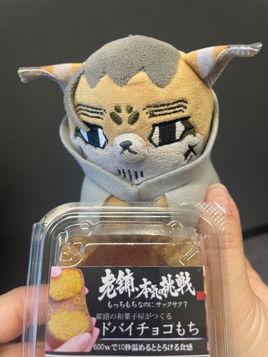 ドバイチョコもちやで、ほぜおちゃん🍫
