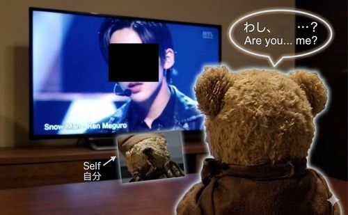 朝から、わしがテレビにでとる⁉️

と思ったら目黒蓮くんじゃった。