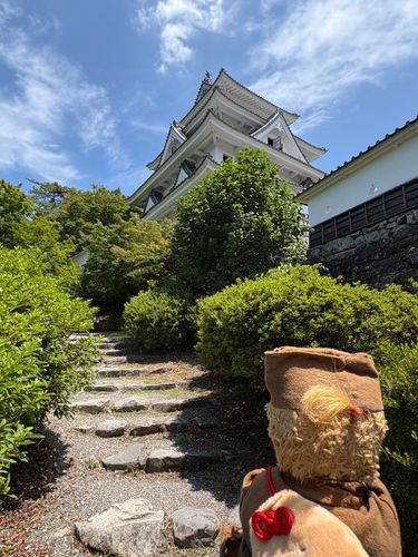 きたぜ❗️
岐阜県郡上八幡城🏯