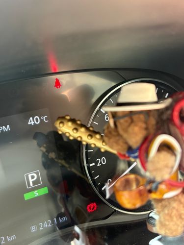 おいおい❗️なんてこった‼️

40℃⁉️💦
