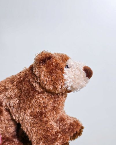 はじめまして
僕はブラウンベアのKidena キデナ だよ🐻
自然が大好き🌲
いつか涼しくなったらお出掛けしたいな。
