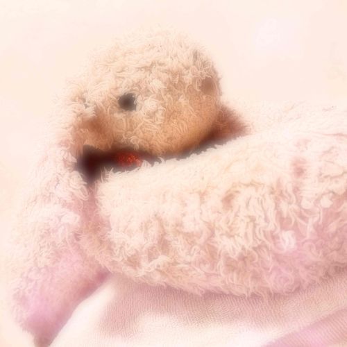 ふわふわカメラ、おうちのひとが ずっと かこうして にこにこしてるよ〜 笑  ⸝⸝ᐢ. ̫.ᐢ⸝⸝♡

ぼくは け が ふとめ？だから いんえいが つよいと こわくなっちゃう みたい…ᐡっ ̫ -⸝⸝˘