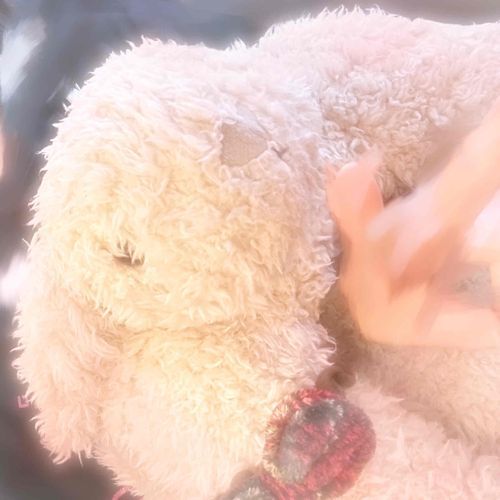 とうきょう りょこう たのしかったね ⸝⸝ᐢ. ̫.ᐢ⸝⸝♡

しんかんせんの じゆうせき は、ひとが たくさん いたから スーツケースに すわってなきゃいけなくて たいへんだったね… ‪(ᐢ ‪֊  ̫ ֊ ᐢ)‬

あめふりで かさをさして まちを あるいたね ⸝⸝ᐢ. ̫.ᐢ⸝⸝♡

また いっしょに りょこう しようね ！ ⸝⸝ᐢ. ̫.ᐢ⸝⸝♡