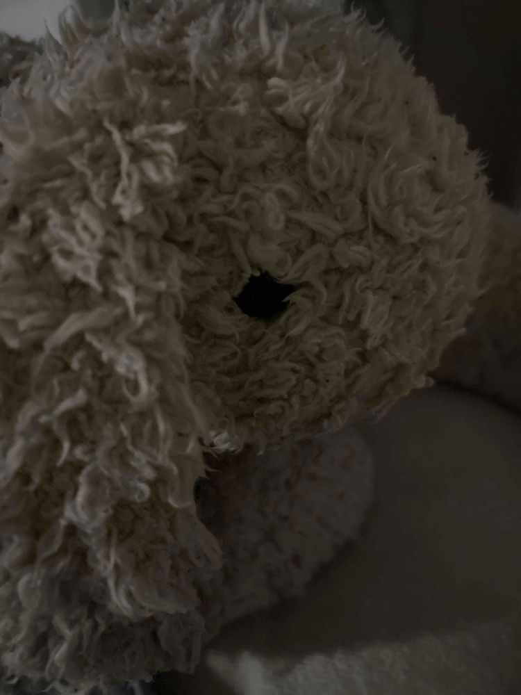 ぼくが おうちのひとと であったのは さむーい あきのひ だったね⸝⸝ᐢ. ̫.ᐢ⸝⸝
たしか にゅうしゃしけんの ひだった と いっていたね⸝⸝ᐢ. ̫.ᐢ⸝⸝♡
かいしゃには うかったけど、おうちのひとは なじめなくて たいへんそうだ…ᐡ´ㅠ ‧̫ ㅠ`ᐡ
ぼくは ずっと おうえんしてるからね!⸝⸝ᐢ. ̫.ᐢ⸝⸝
むりは してほしくないけど、たくさん いろんなせかい みてきて、 ぼくに おしえてね!⸝⸝ᐢ. ̫.ᐢ⸝⸝