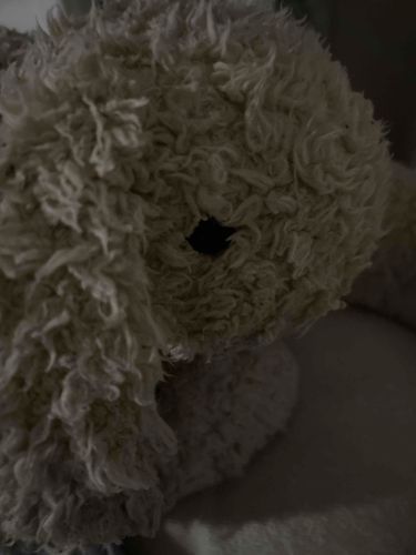 ぼくが おうちのひとと であったのは さむーい あきのひ だったね⸝⸝ᐢ. ̫.ᐢ⸝⸝


たしか にゅうしゃしけんの ひだった と いっていたね⸝⸝ᐢ. ̫.ᐢ⸝⸝♡

かいしゃには うかったけど、おうちのひとは なじめなくて たいへんそうだ…ᐡ´ㅠ ‧̫ ㅠ`‍ᐡ

ぼくは ずっと おうえんしてるからね！⸝⸝ᐢ. ̫.ᐢ⸝⸝
むりは してほしくないけど、たくさん いろんなせかい みてきて、 ぼくに おしえてね！⸝⸝ᐢ. ̫.ᐢ⸝⸝