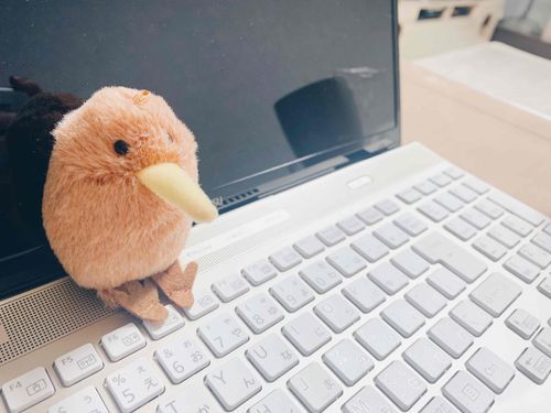 つかれたときは、やすんでもいいぞ人間🥝