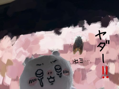 窓に…