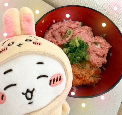 ネギトロサーモン丼ッ！