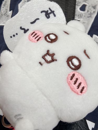 ８月と思えない涼しさ…！