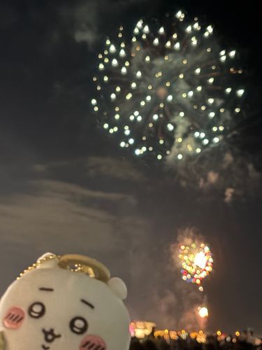 遠征して花火みにいった🧸
駅は大混雑っ！花火と一緒に撮るのは難しい…
