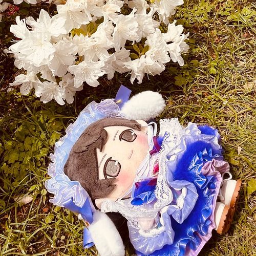 おはなきれい