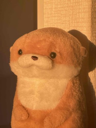 やまだです。
夕日に照らされ、最近のあらゆる出来事を反芻しています。くすねたお徳用パックのチョコ、お風呂上がりのアイス、深夜に食べたうす塩ポテチ…。夕日を見ながら過去の思い出に浸る。きっとこれが「エモい」というやつなのでしょう。やまだは完全に理解しました。