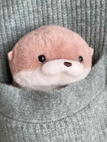 やまだです。
飼い主のカーディガンのポケットにジャストフィットです。鞄がぱんぱんな時はよくここに押し込まれるのですが、やまだは外の世界をもっと知るべきだと思うのです。井の中のやまだにはなりたくありません。やまだ、大海に飛び込みます。