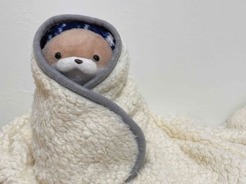 やまだです。
今日も朝から冷えますね、布団から一歩も出たくありません。あまりの寒さに飼い主の膝掛けにくるまっていたら、新種のアザラシみたいだと勝手に写真を撮られました。やまだにも肖像権があります。事務所を通してからにしてほしいです。