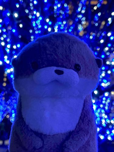 やまだです。
街路樹のイルミネーションがなんとも幻想的な世界を演出しています。一つひとつは小さな存在でも、無数の煌めきがひたむきにやまだを照らしてくれる。そんな健気な彼等の姿に、感銘を受けるやまだなのでした。