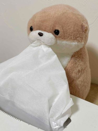 やまだです。
どうやらこの世には「はなせれぶ」という美味しい食べ物があるそうです。試しにおうちで見た目が似ているコレを食べてみたのですが、惜しくもハズレ。ほのかな甘みと噛み心地がクセになるとウワサの「はなせれぶ」、やまだもひとくち味わってみたいです。