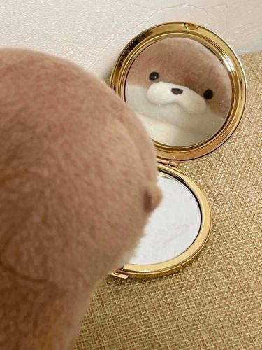 やまだです。
自分自身を見つめ直しています。やはりBIGなカワウソになるためには、もう少しアイデンティティというものを確立させるべきだと思うのです。やまだ、お前はなぜやまだなのかと、日々鏡に映るやまだに問いかけています。