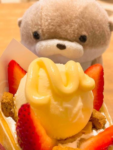 やまだです。
飼い主が今まさにやまだの目の前でイチゴ＆バニラアイスクレープを食べようとしています。きらきらと期待の眼差しを向けているやまだの目の前でです。甘酸っぱくフレッシュなイチゴにまろやかで濃厚なバニラアイス……飼い主、食べたいです。お願いですなんでもします。