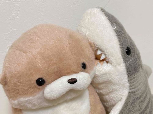 やまだです。
友人から戯れに耳をひとくちいただかれてしまい、現在自宅療養中です。しかしやまだの心は海よりも広いです。涙目で首から反省プラカードを下げている友人に慈悲の言葉をかけてやりました。大丈夫です、誰にだって間違いはありますから。