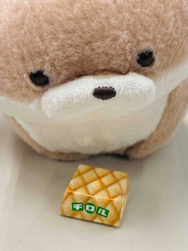 やまだです。
飼い主の友人からメロンパンをいただきました。やまだの記憶ではメロンパンはもう少し丸いイメージだったのですが、こんなに四角いメロンパンもあるのですね。まだまだ知らないことだらけです。