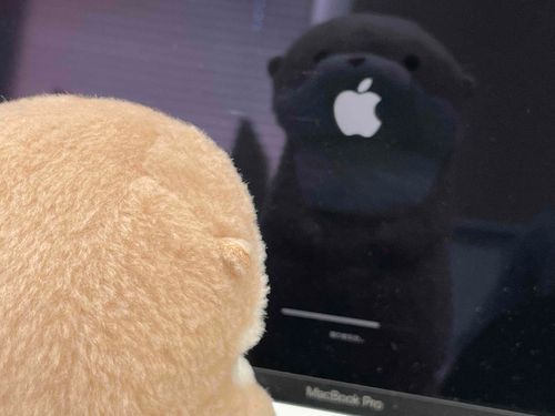 やまだです。
飼い主のノートパソコンで作業していたのですが、何の気なしにアップデートしたら「残り5分」を表示したまま30分経過しました。これからはこまめにアップデートしておくよう、飼い主によく言い聞かせておきます。