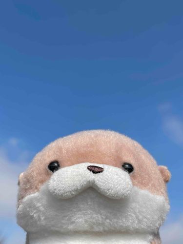 やまだです。
見事な青空をバックに写真を撮ってみたところ、証明写真のようになってしまいました。せっかくなので就職活動でこの写真を使い、面接官をメロメロにしていきたいと思います。